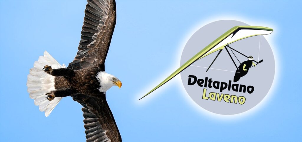 banner con logo servizi deltaplano laveno